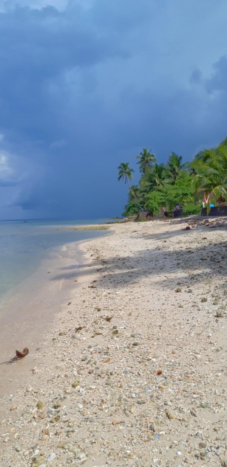 Sandee White's Beach