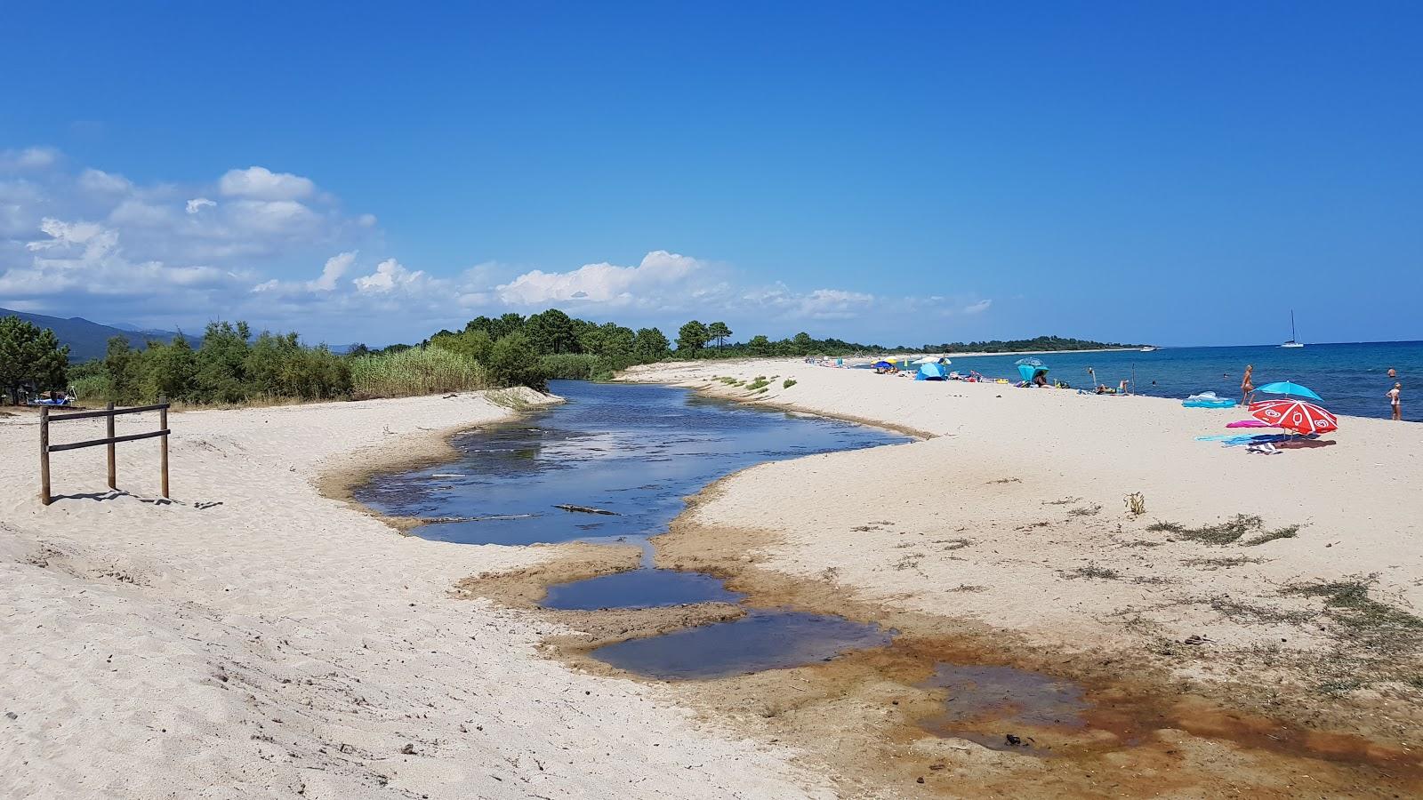 Sandee Marine De Solaro Beach
