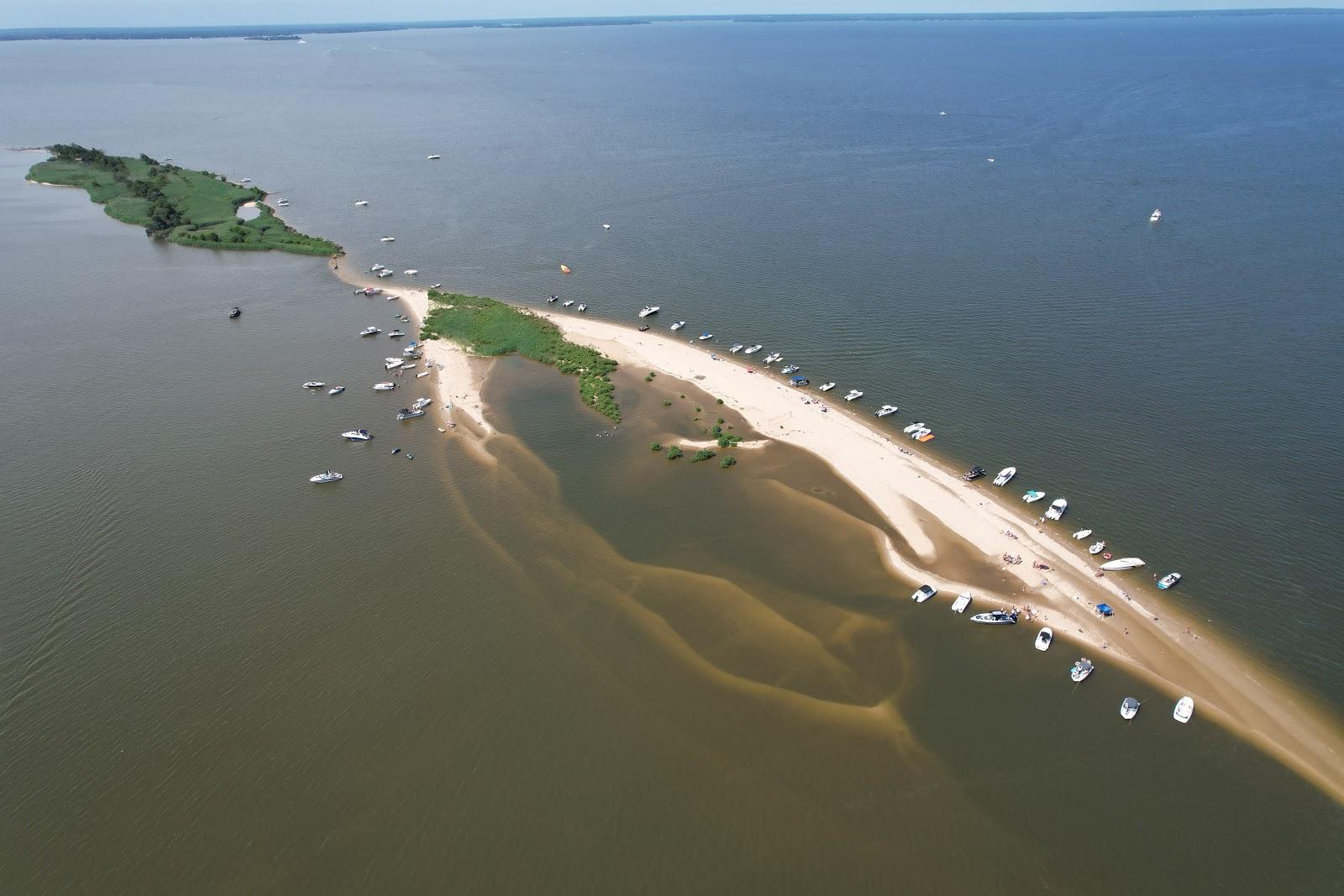 Shark Tooth Island Photo - Sandee