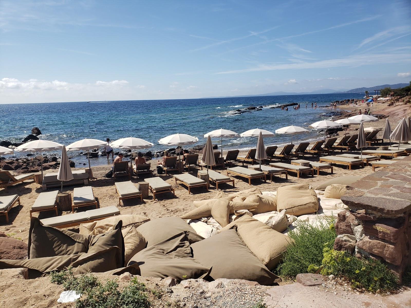 Sandee Plage De La Tortue