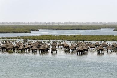 Sandee Plage De Joal-Fadiouth