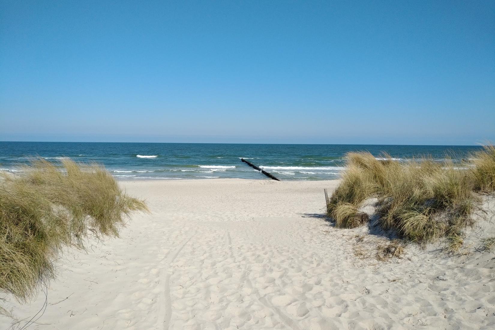 Sandee - HomePage / Zingst
