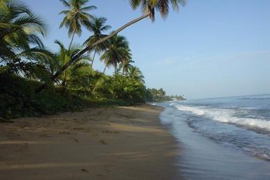 Sandee Antonios Beach