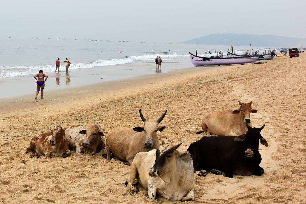 Sandee Bogmalo Beach
