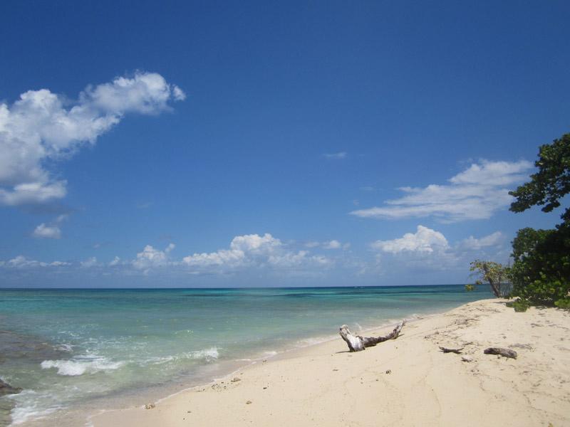 Sandee Buck Island Beach