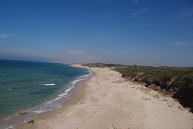 Sandee Palmahim National Park Beach