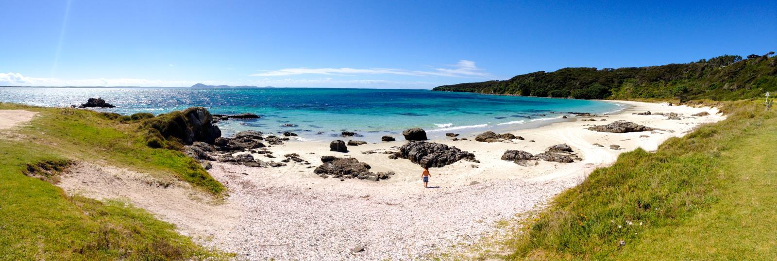 Sandee - HomePage / Te Hiku Community