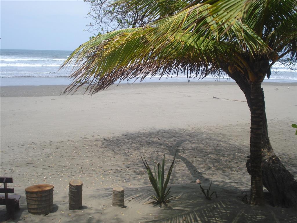 Sandee - HomePage / El Viejo