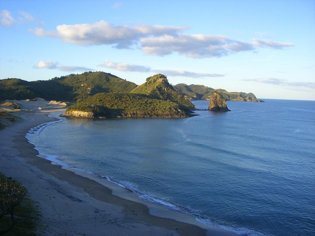 Sandee - HomePage / Aotea Great Barrier