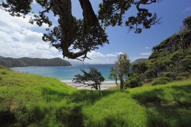 Sandee Overtons Beach