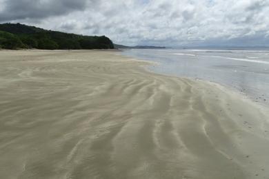 Sandee Playa Hermosa