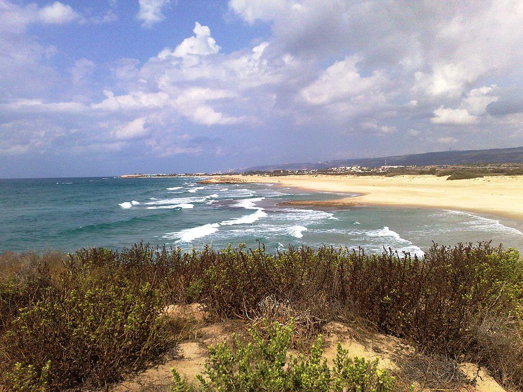 Sandee - HomePage / Emek Hefer Regional Council