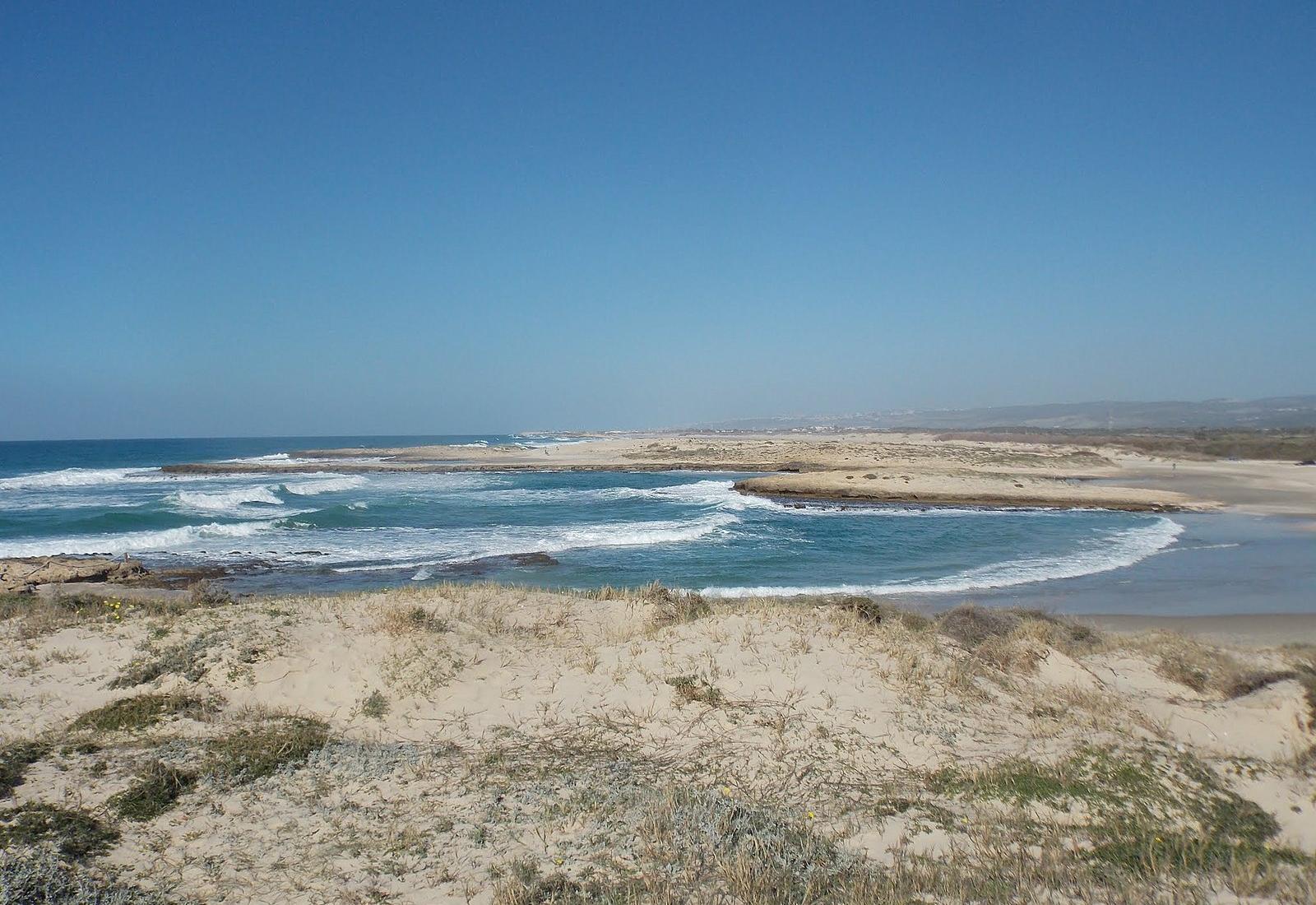 Sandee - HomePage / Hof HaCarmel Regional Council