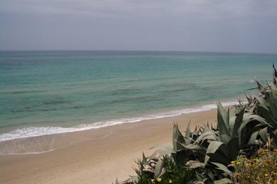 Sandee Tirat Carmel Beach