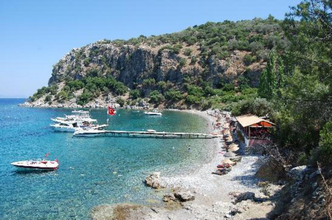 Sandee - HomePage / Ammoudia