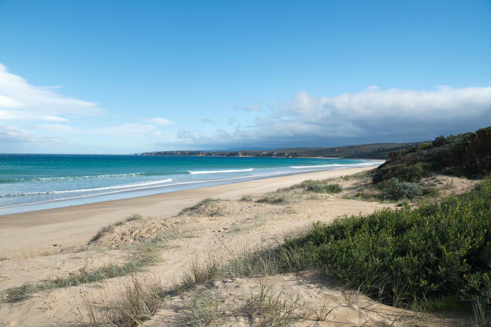Sandee - HomePage / Aireys Inlet