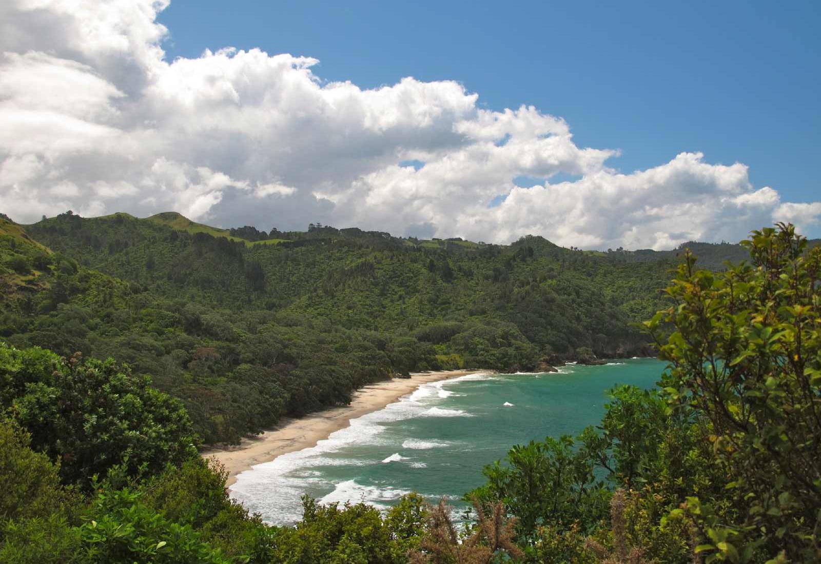 Sandee - HomePage / Waihi Beach