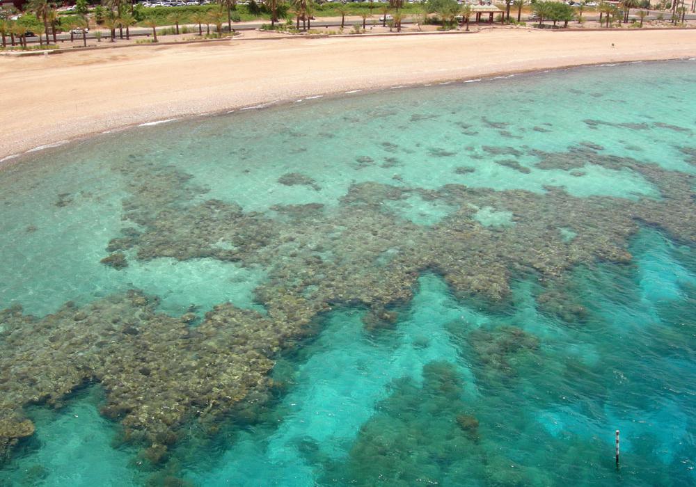 Sandee Coral Beach Nature Reserve