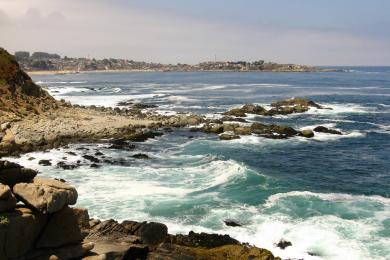 Sandee Punta De Tralca Beach