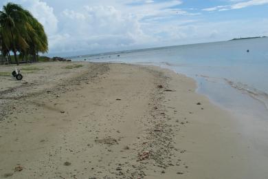 Sandee Isla De Gatas Beach