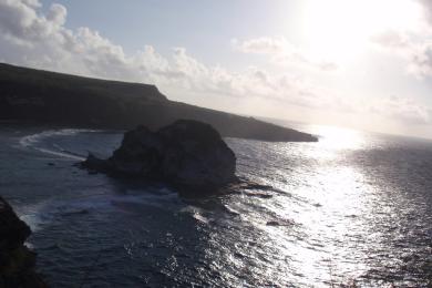 Sandee Bird Island Beach