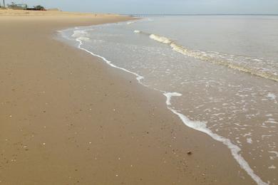 Sandee Union Beach