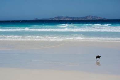 Sandee Hellfire Bay