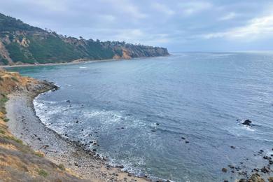 Sandee Bluff Cove Beach