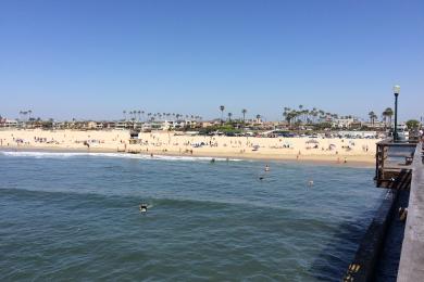 Sandee Seal Beach