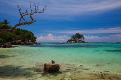 Sandee Anse Royale Beach