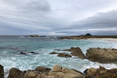Sandee Fanshell Beach