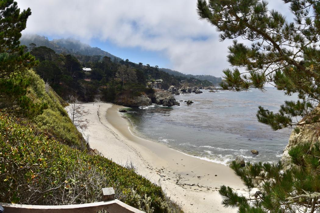 Sandee Point Lobos State Natural Reserve - Gibson Beach