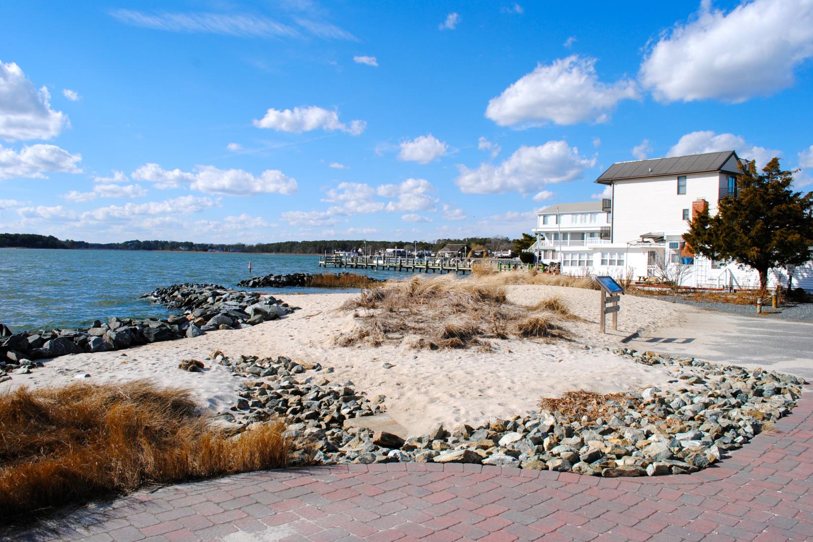 Sandee - HomePage / Delaware