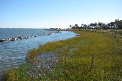 Sandee Indian River Marina