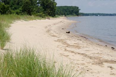 Sandee Elms Beach Park
