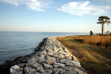 Sandee Point Lookout State Park