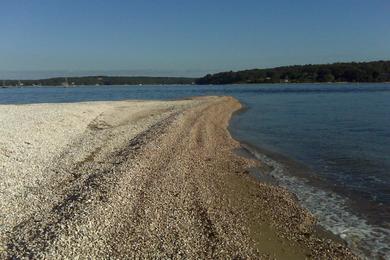 Sandee Hobart Beach