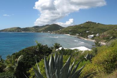 Sandee Grape Tree Beach