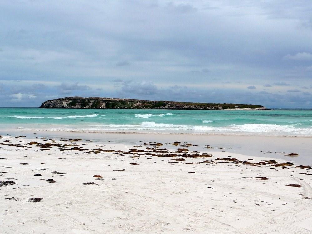 Sandee - HomePage / Wedge Island