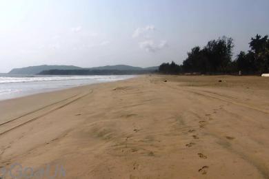 Sandee Agonda Beach
