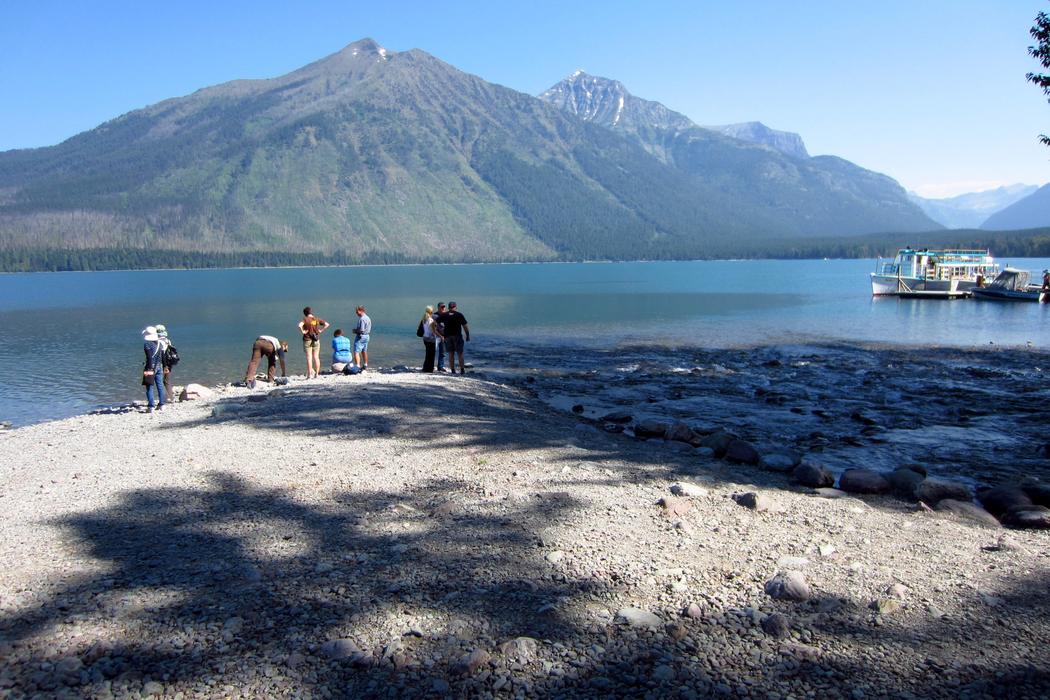 Sandee Lake Mcdonald