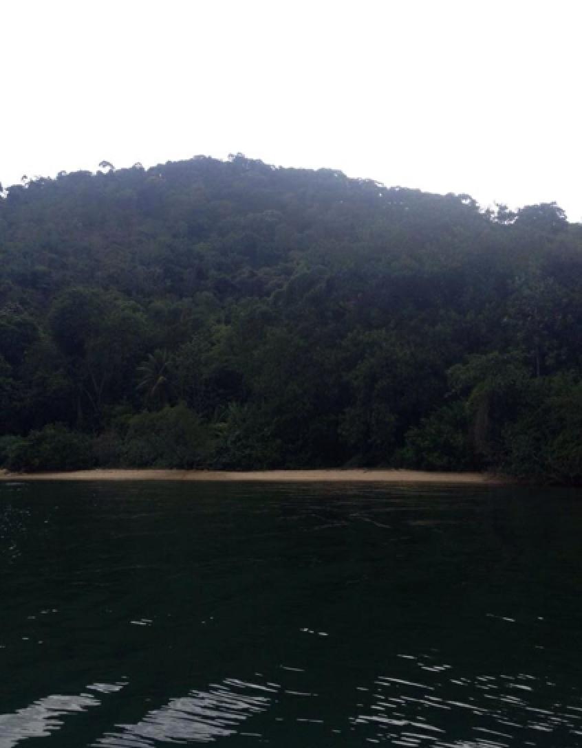 Sandee - HomePage / Ilha Comprida