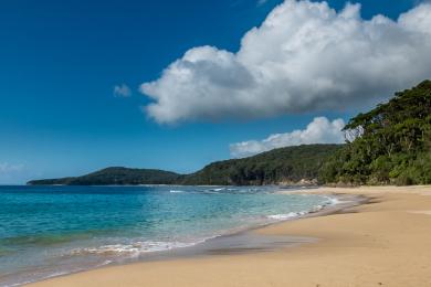 Sandee Pebbly Beach