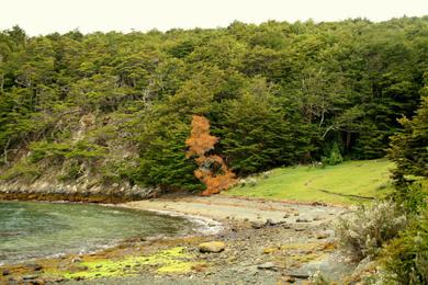 Sandee Parque Nacional Tierra Del Fuego