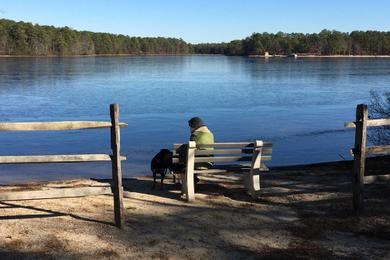 Sandee Lake Absegami