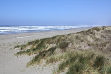 Sandee Malina Beach