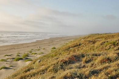 Sandee Lanphere Dunes