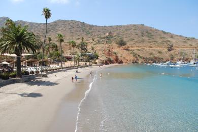 Sandee Cottonwood Beach