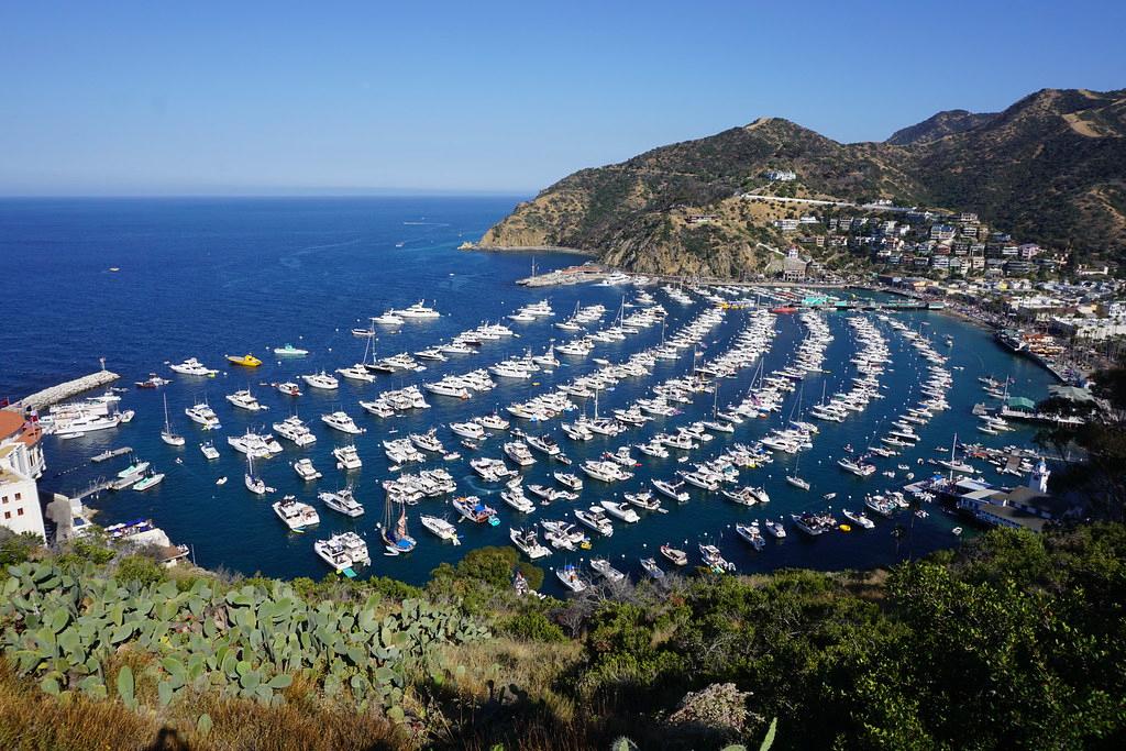 Sandee Catalina Harbor