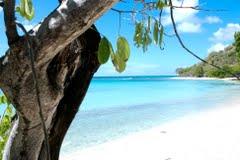 Sandee Campbell Beach
